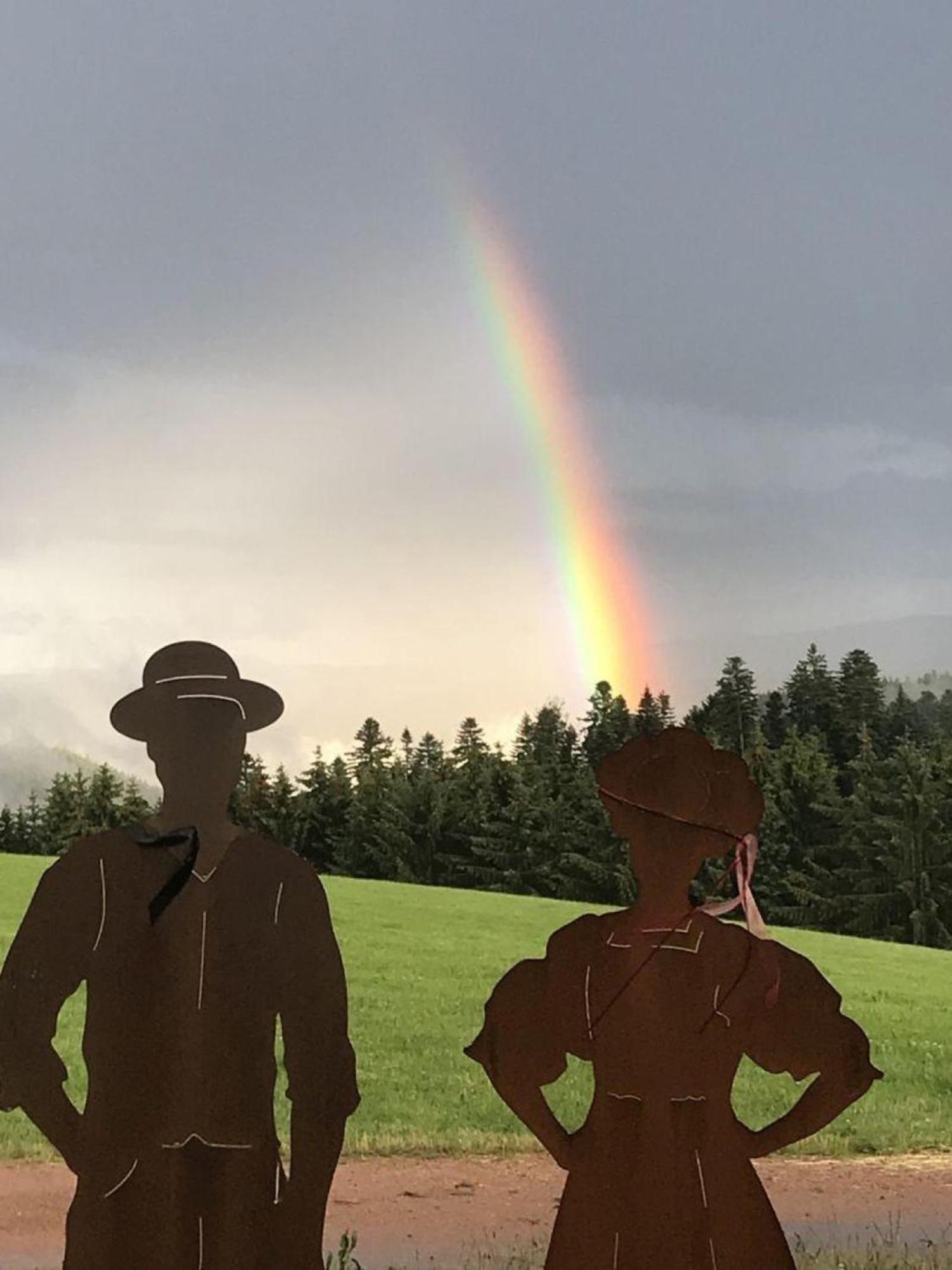 Aeckerhof Villa Wolfach Dış mekan fotoğraf