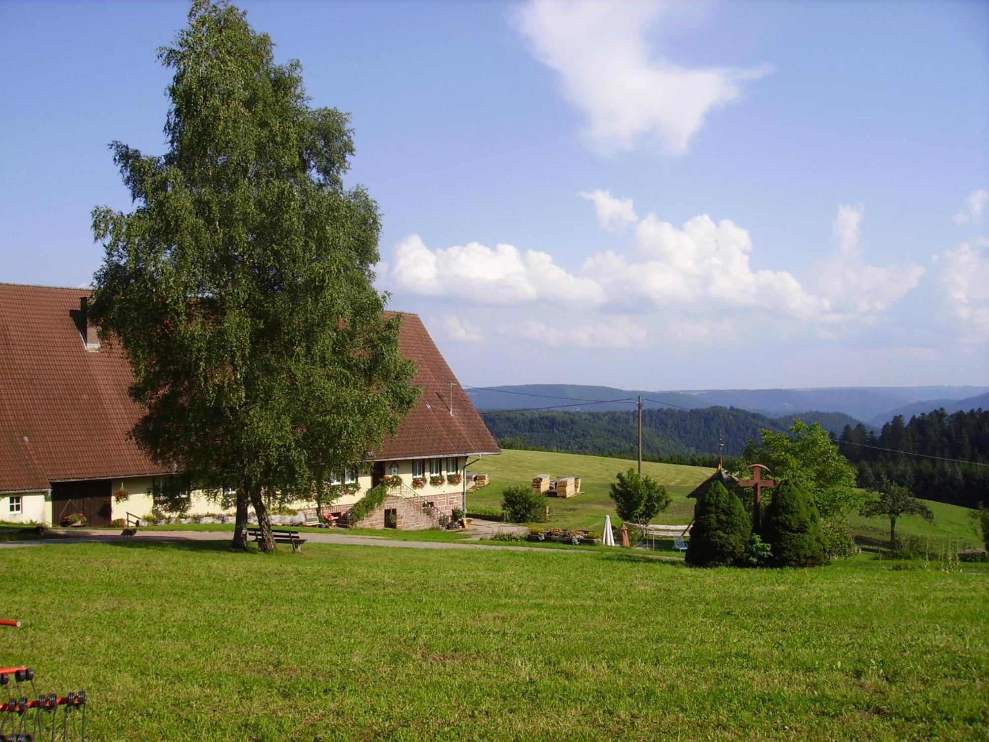 Aeckerhof Villa Wolfach Dış mekan fotoğraf
