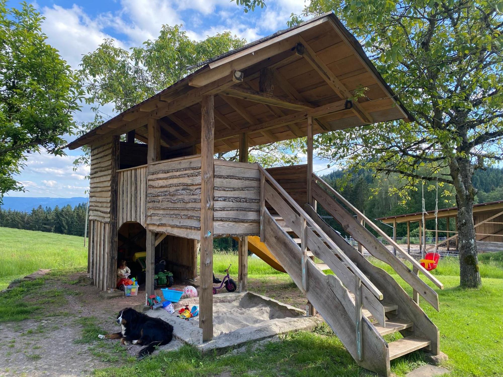 Aeckerhof Villa Wolfach Dış mekan fotoğraf